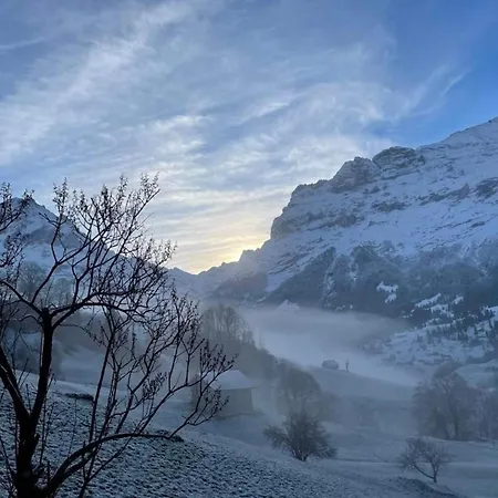 Apartment Bachsbort 14 Grindelwald