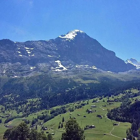 Bachsbort 14 4- Bett Parterre, Freie Sicht Auf Eiger Grindelwald