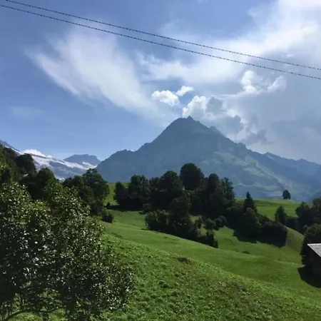 Apartament Bachsbort 14 4- Bett Parterre, Freie Sicht Auf Eiger *