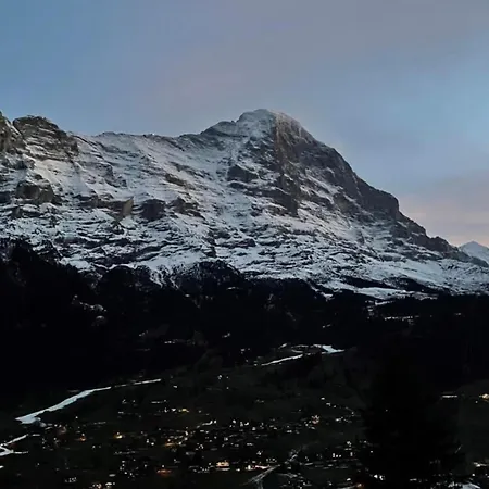 Bachsbort 14 4- Bett Parterre, Freie Sicht Auf Eiger Apartment