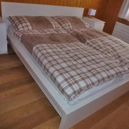 Apartament Bachsbort 14 4- Bett Parterre, Freie Sicht Auf Eiger