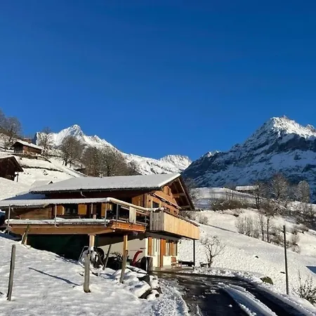 Bachsbort 14 4- Bett Parterre, Freie Sicht Auf Eiger Apartament